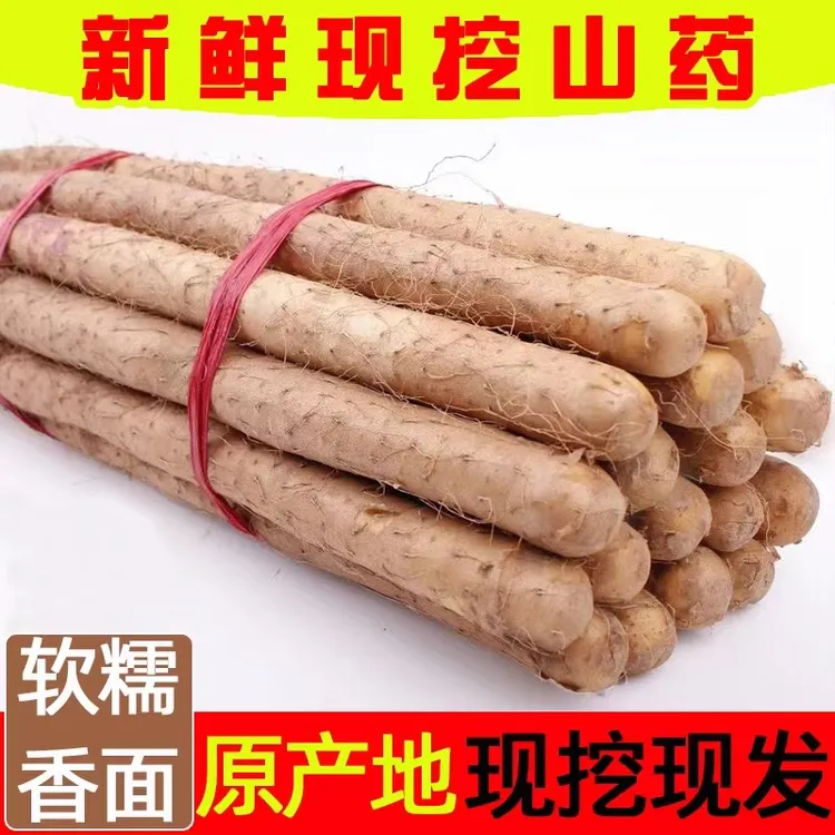正宗新鲜铁棍山药现挖现发软糯净重五斤（60-80公分长）