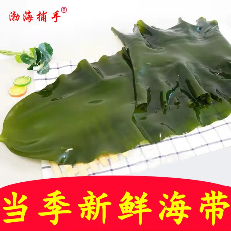 [几乎无盐]大连盐渍海带包饭嫩海带凉拌煲汤5斤/含箱