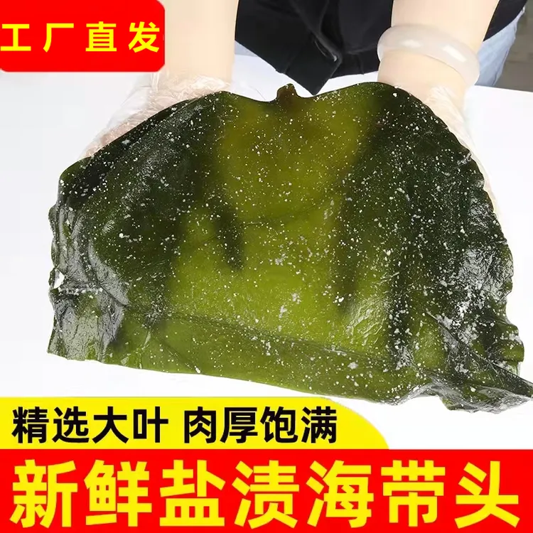 大连盐渍海带头5斤/含箱【Z】