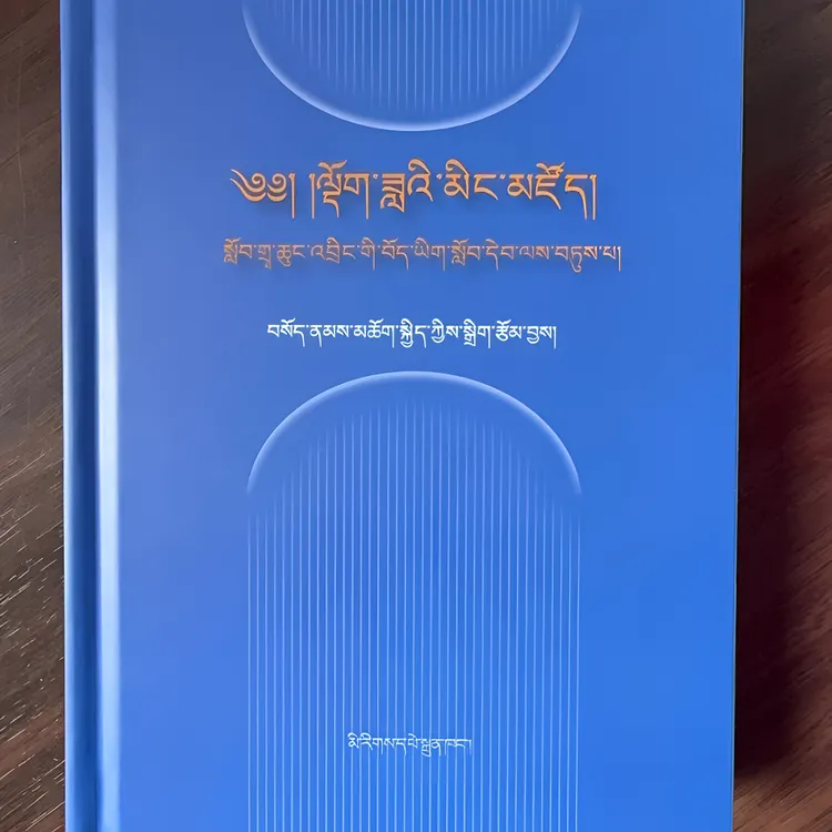 藏语文反义词词典：藏文版