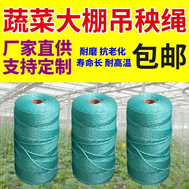 大棚吊秧绳果蔬爬藤尼龙吊蔓绳现货植物牵引捆绑新料轴夹吊秧绳