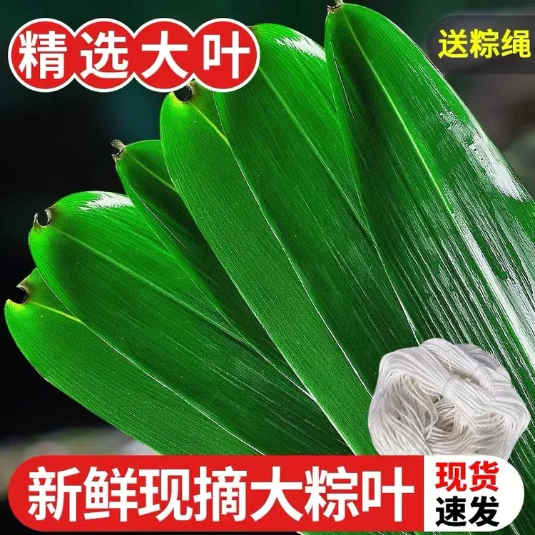 粽叶粽子叶新鲜大号100片箬免邮家用竹叶包粽子的粽叶250g
