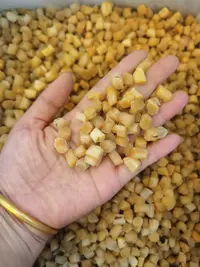 大小姐推荐 新大连干贝500g起拍