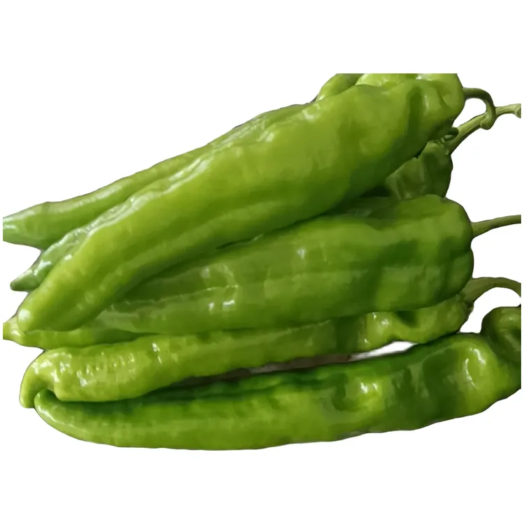 山东大棚尖椒辣椒基地种植现摘现发