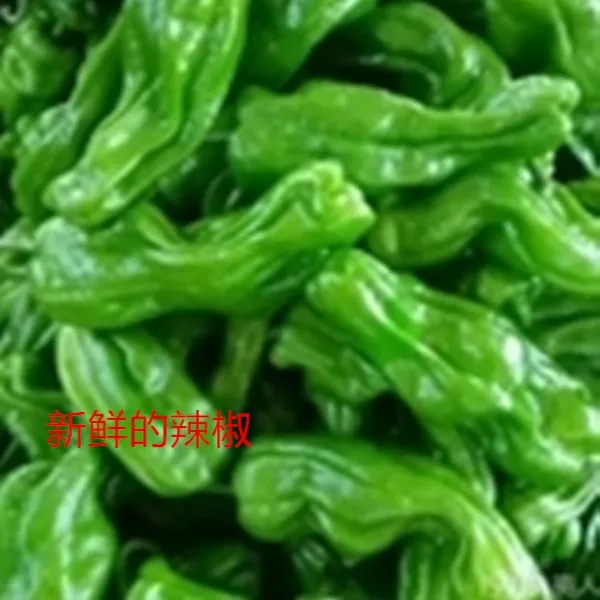 山东正宗薄皮辣椒辣味适中新鲜菜园直发福利薄皮青椒