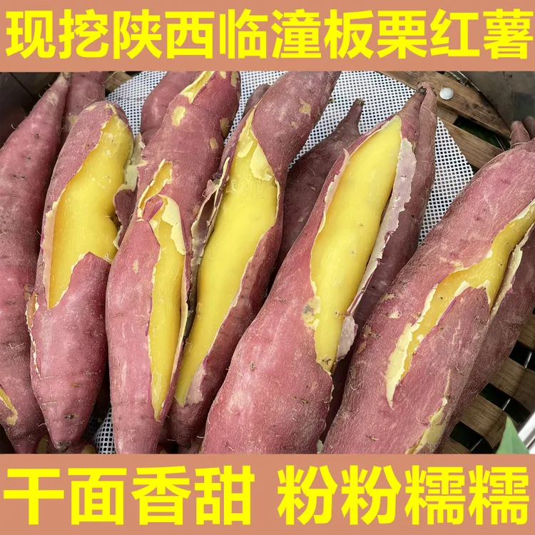 新鲜粉糯干面甜陕西临潼地瓜白薯黄白糖心蔬菜板栗山芋番蜜红薯