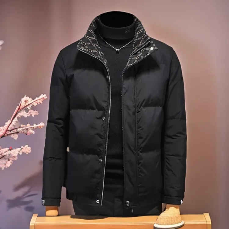 维斯克纳时尚男装冬季保暖加厚休闲外套潮牌白鸭绒立领羽绒服男