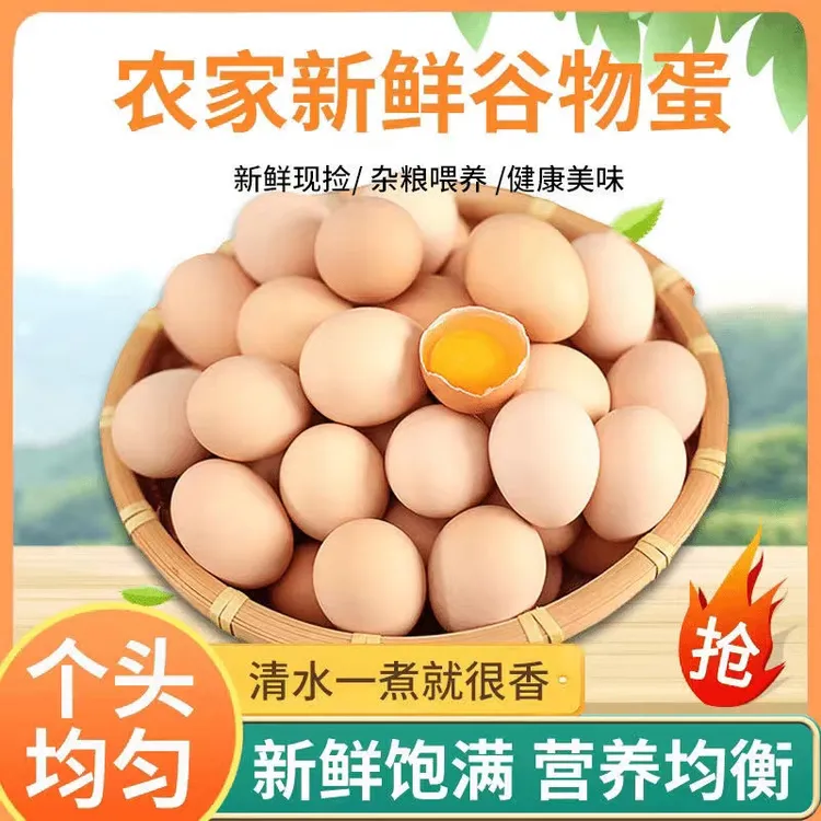 新鲜【散养土鸡蛋】蛋蛋农家喂养虫草营养健康天然散养鸡蛋蛋柴鸡蛋
