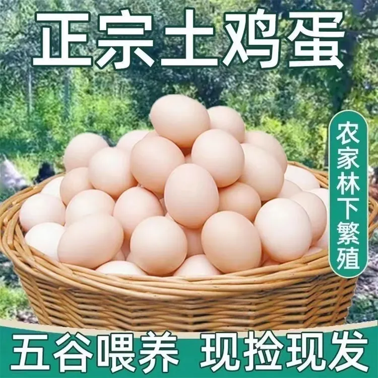 【农家散养谷物笨鸡蛋】营养健康批发散养土鸡蛋土鸡蛋蛋新鲜可生食