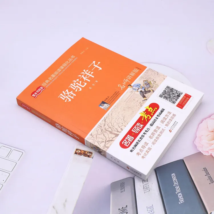 骆驼祥子(名师讲解版)/统编版语文教材配套阅读丛书 浙江新华正版
