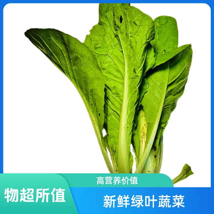 贵州高山小白菜天然种植生鲜食品农家贵州青菜当季新鲜农家菜