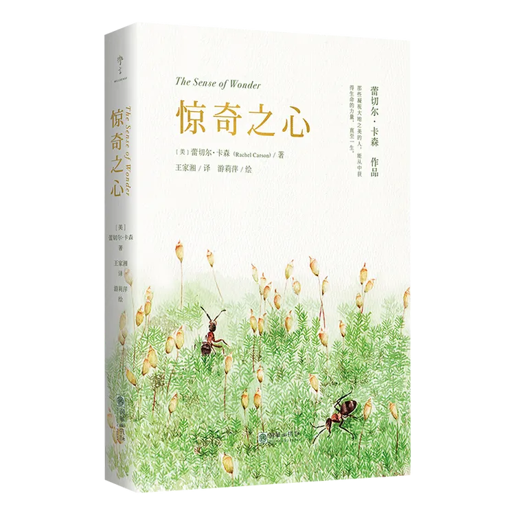 刷边-惊奇之心 | 《寂静的春天》作者卡森绝笔之作翻译家王家湘译作
