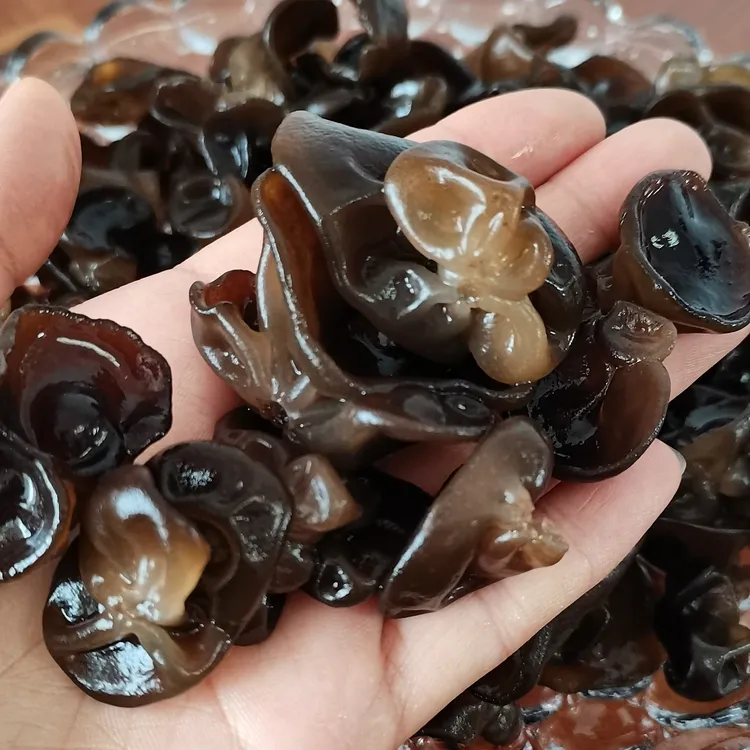 小兴安岭伊春头茬黑木耳250g500g原产地直发无根肉厚不增重