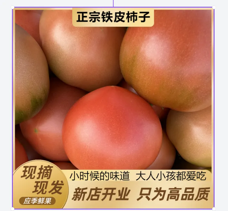 黑龙江碱地柿子嘎啦柿子铁皮柿子现摘现发自家自种西红柿草莓番茄