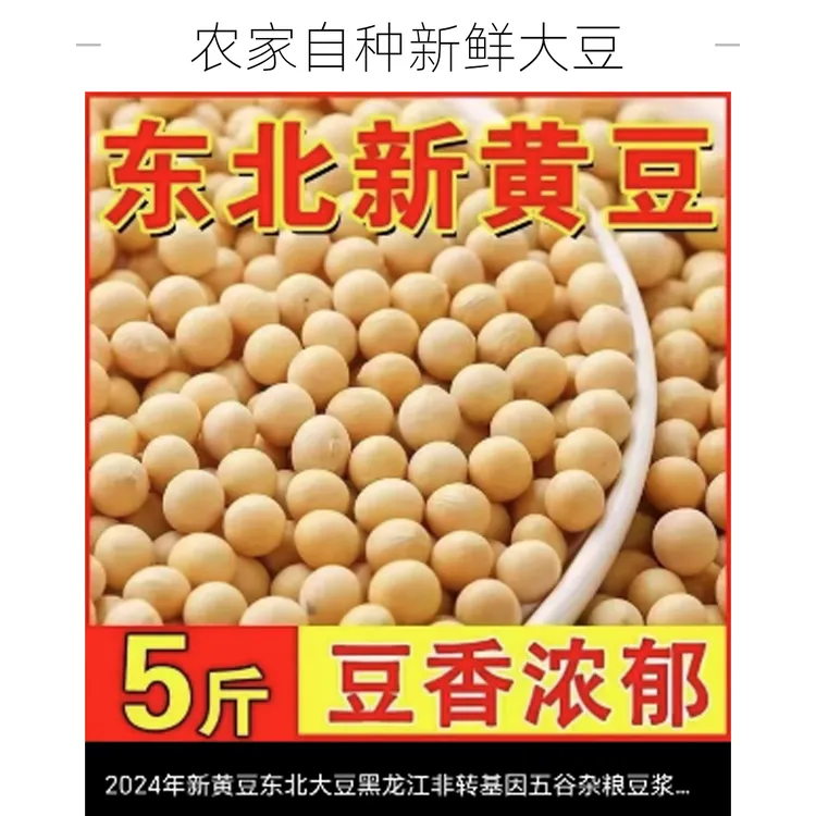 25年新黄豆5斤装黑龙江高蛋白豆腐大豆专用豆浆豆芽非转基因