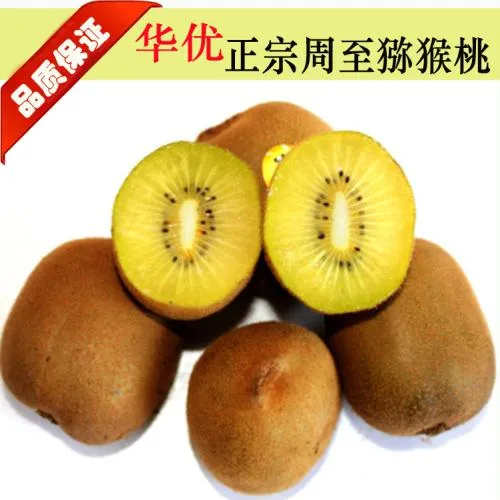 周至华优猕猴桃黄心好吃又香甜