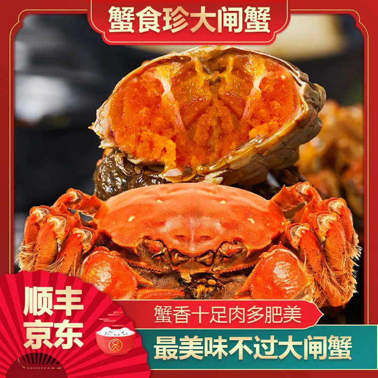 蟹食珍大闸蟹超大母蟹3.1-2.8两/10只装饱蟹礼盒装活蟹现发