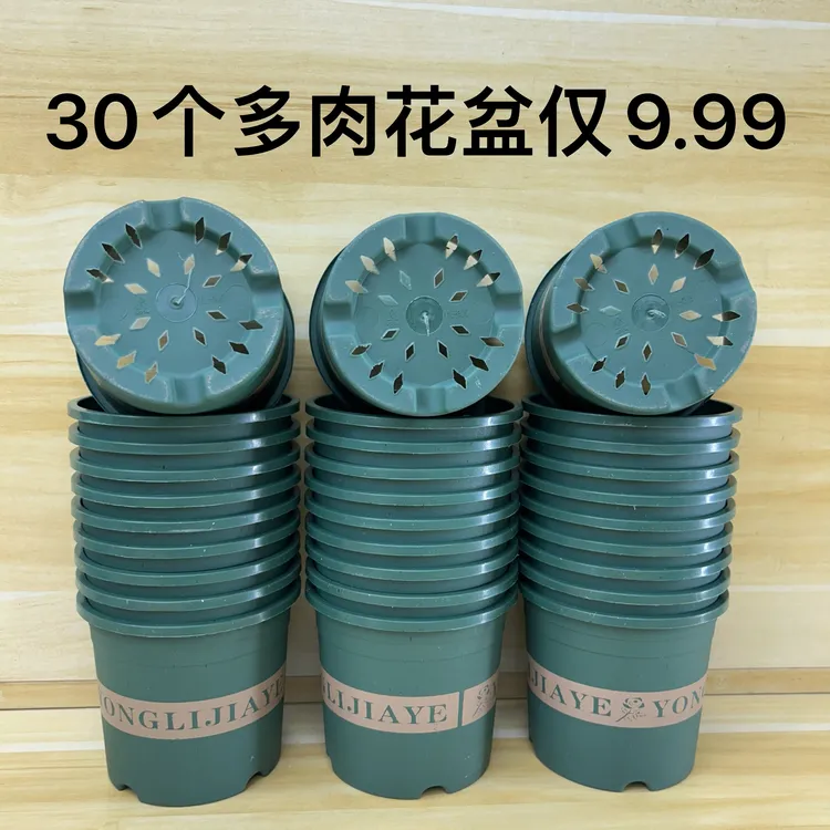 30个【口径10.5高9.5】多肉花盆控根0.5加仑花盆