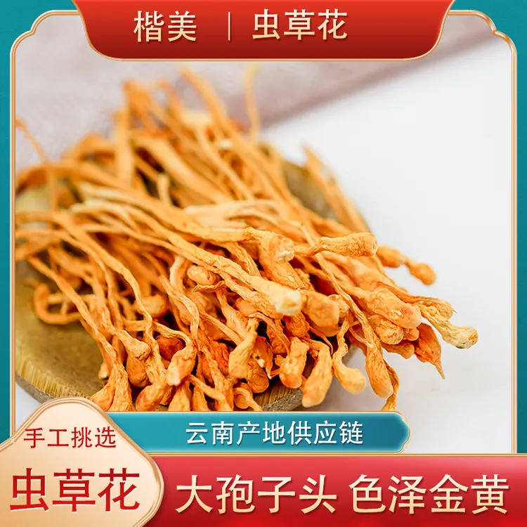 楷美山货菌菇蛹虫草北虫草虫草花干货菌菇蘑菇煲汤食材