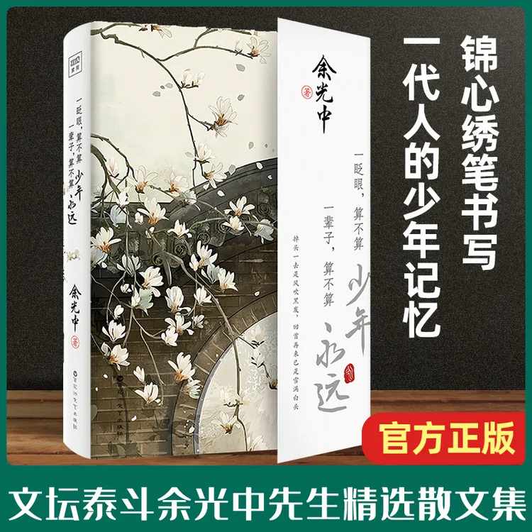 文坛泰斗余光中先生散文集 一眨眼算不算少年 一辈子算不算永远