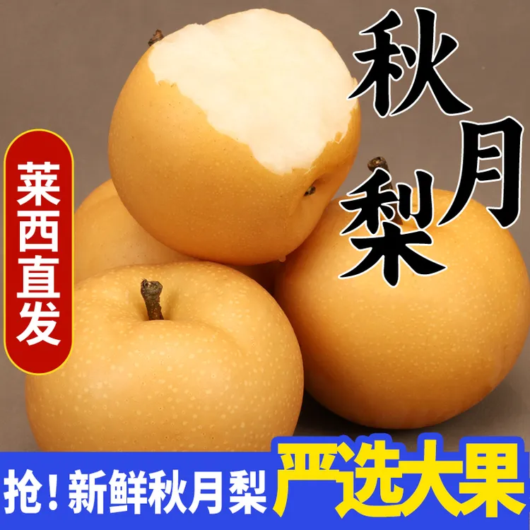 正宗莱阳莱西品质秋月梨5斤精品大果口感新鲜皮薄甘甜爽脆个头大