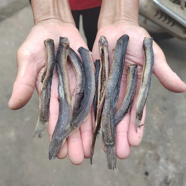 大别山自然环境生长泥鳅干250g/500g金寨土鳅稻田河沟里咸味泥鳅