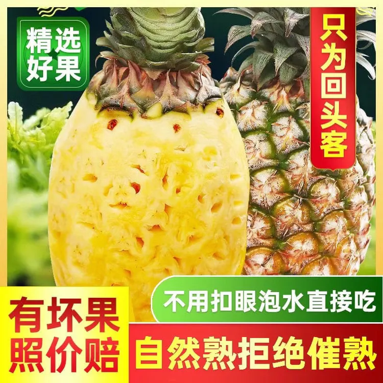海南金钻手撕凤梨现摘现发香甜多汁当季孕妇水果自然熟