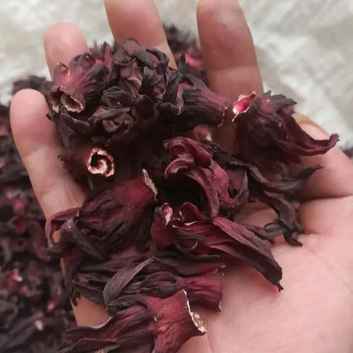 玫瑰茄（洛神花）福建特产 新鲜玫瑰茄干花红搭陈皮泡水养生花草茶