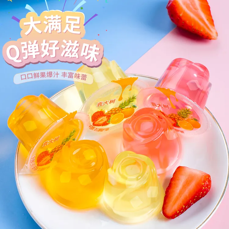【手扶专属】袁大树即食水果味椰果肉什锦口味0脂肪一箱