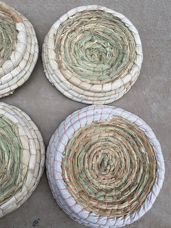 鸽子用玉米皮草窝，防侧翻，拍一发10！