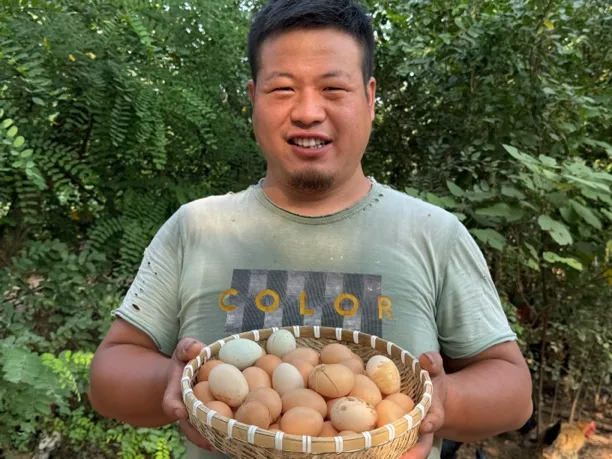 农村散养土鸡蛋（山南施芳芳）老王散养土鸡蛋