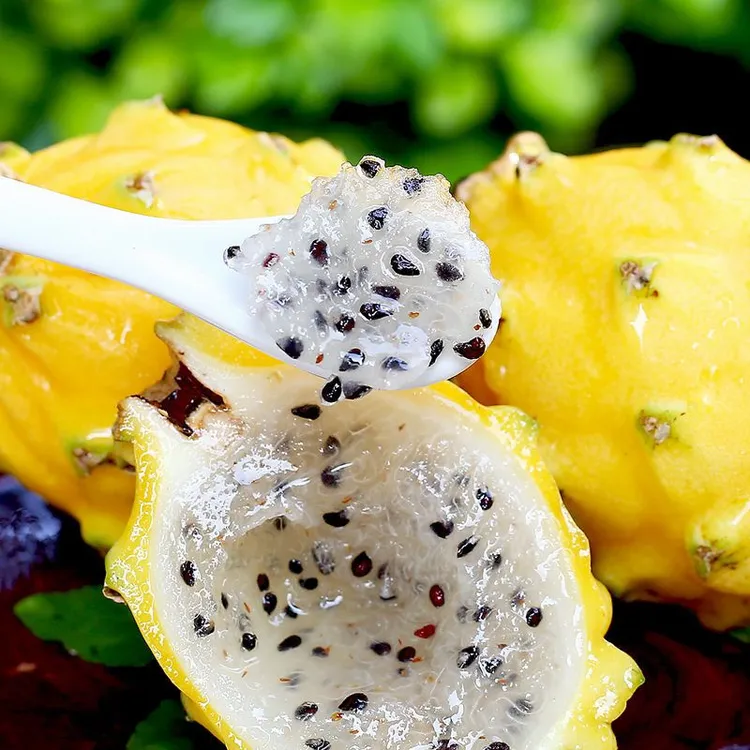 【顺丰包邮】海南麒麟燕窝果精品礼盒装2-5斤新鲜应季精选大果