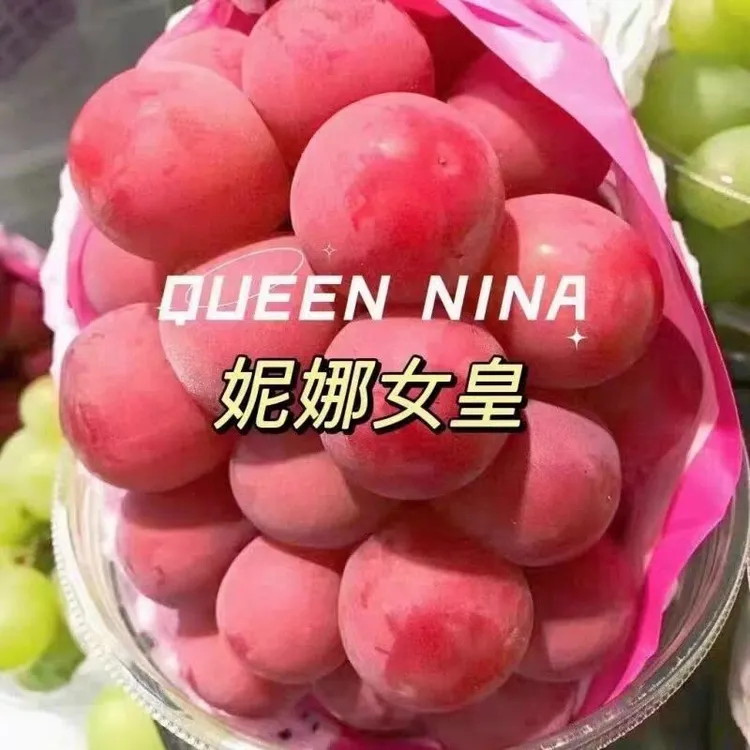 【顺丰包邮】妮娜皇后葡萄浓香浓甜红提新鲜葡萄2-5斤装