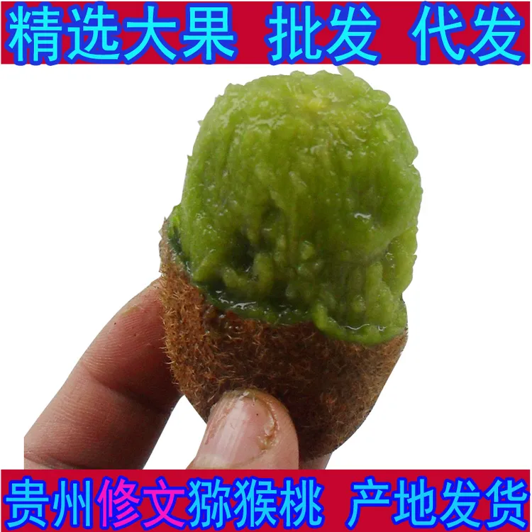 修文猕猴桃 贵长 新鲜水果 正宗贵州贵阳特产奇异果绿心肉5斤10斤