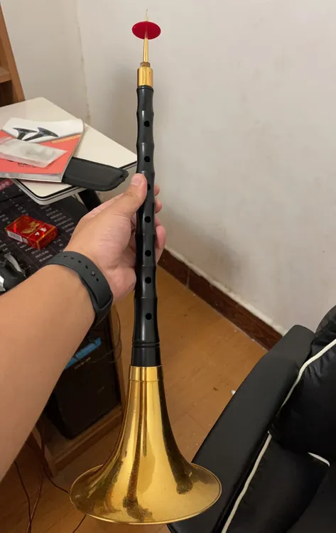 降B调，精品檀木，专业唢呐全套，教学视频，教学书，精修三道筋哨片，