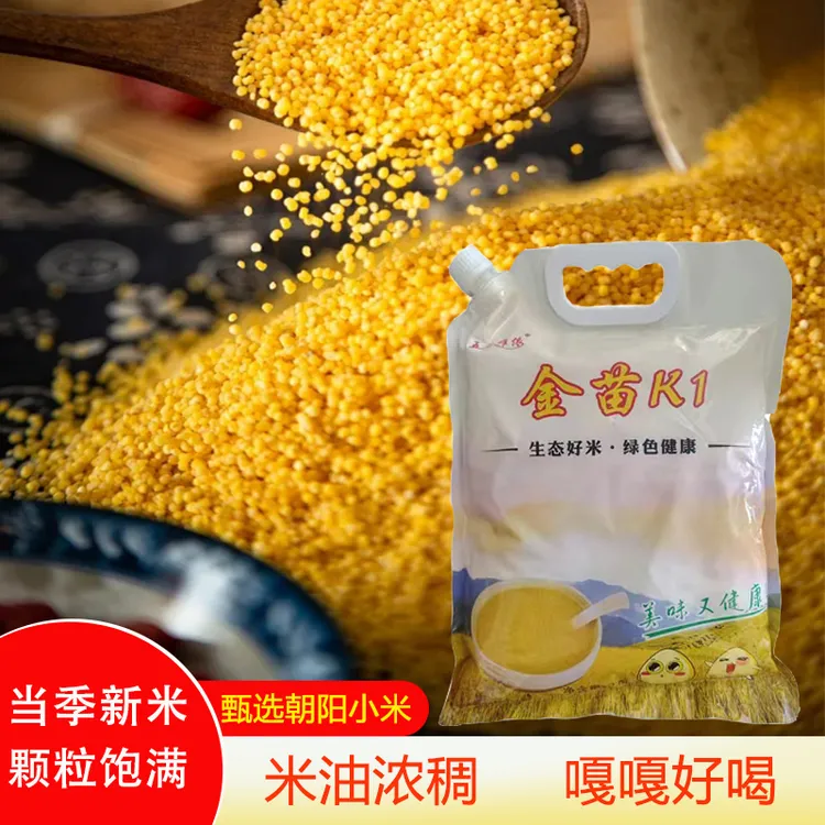 【朝阳小米】2024年秋收东北辽宁朝阳黄金苗小米5斤拧口装