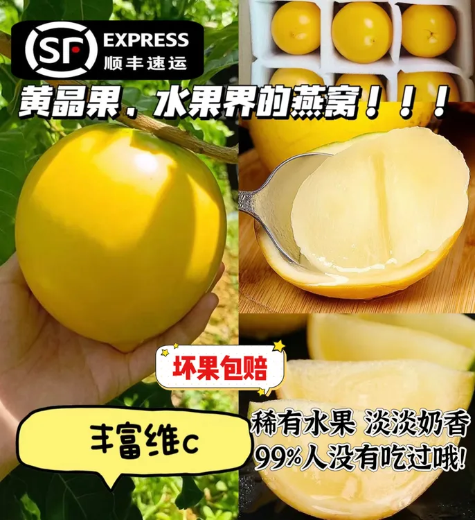 高端品种果冻冬蜜黄晶果新鲜牛奶果黄金大果孕妇整箱稀有顺丰包邮