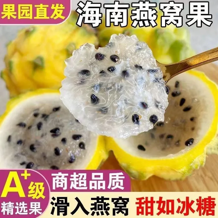 【新鲜现摘香甜软糯多汁】海南燕窝果麒麟果整箱白心当季黄皮火龙果