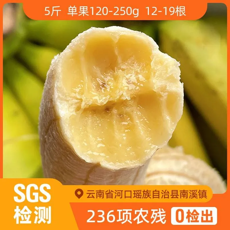 云南威尼斯绿‮香皮‬蕉5斤新鲜香糯软糯香甜香蕉自然熟