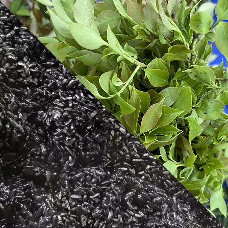 贵州乌米饭黑糯米饭叶子新鲜黎平侗族乌米饭包邮