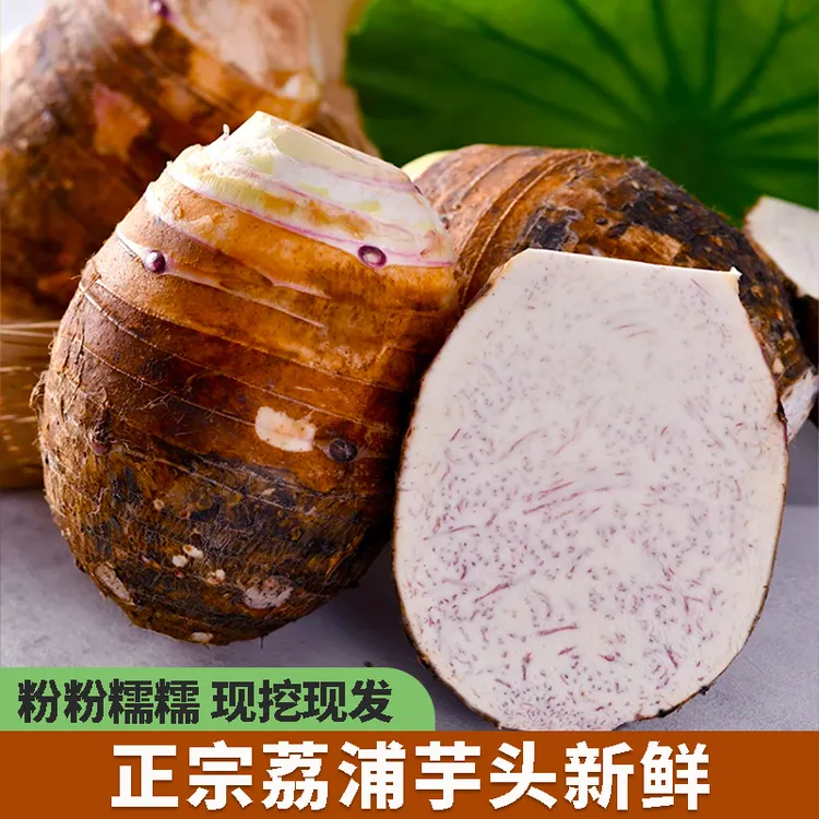 正宗广西荔浦芋头新鲜香芋软糯大芋头农家自种毛芋头荔浦产地直发