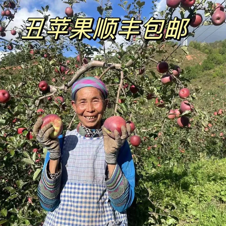 顺丰包邮 丽江高原糖心丑苹果脆甜多汁新鲜水果