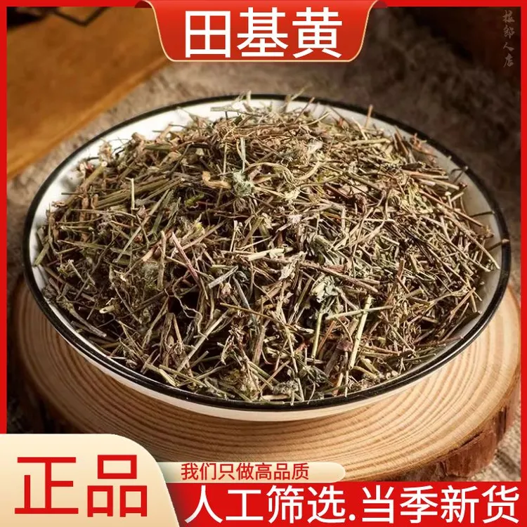 田基黄新鲜晒干野生田基王地耳草雀舌草非益母草干货散装250g500g