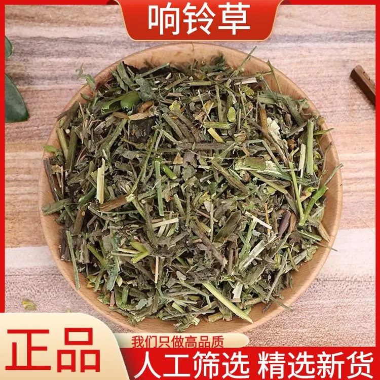 响铃草云南野生新货马响铃马铃草农吉利非益母草新鲜干货250g500g