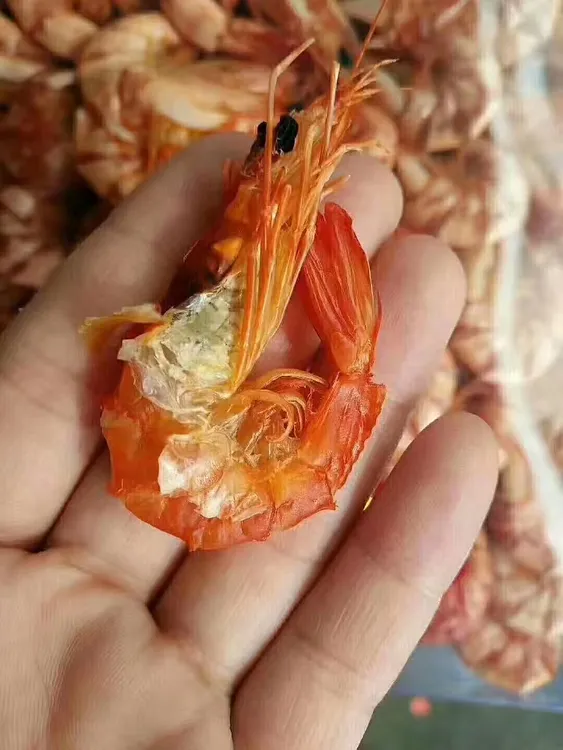 汕尾港淡晒海九节虾干斑节虾足干不压称，份量多