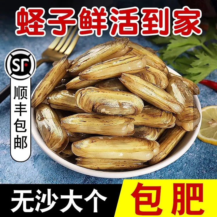 蛏子鲜活海鲜水产贝类蛏子王连云港双头蛏子肉1斤当日现挖现卖