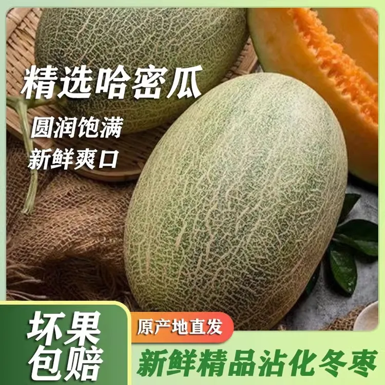 正宗哈密瓜9斤当季新鲜水果甜一整箱包邮现摘网纹瓜老汉瓜西州蜜