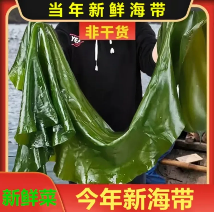 大连新鲜盐渍海带5斤/含箱【营养烹饪脆爽鲜嫩，凉拌菜，海带包饭】