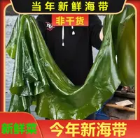 大连新鲜盐渍海带5斤/含箱【营养烹饪脆爽鲜嫩，凉拌菜，海带包饭】