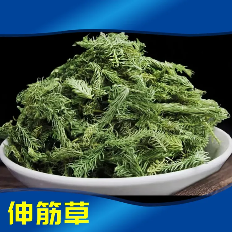 深山老林 伸筋草 自然晒干 300g 【海风藤伴侣】